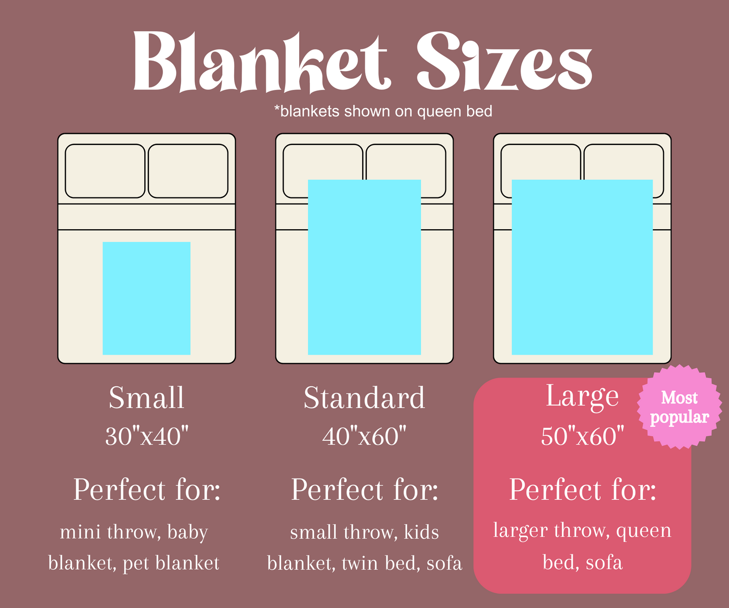 Taylor Swift Eras Minky Blanket