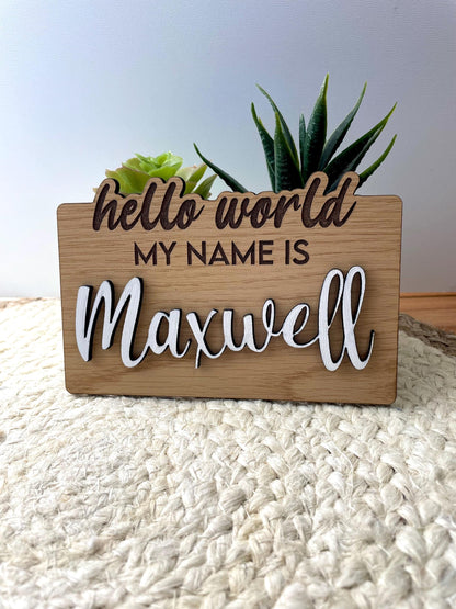 Hello My Name Is Sign | Personalized Baby Name Sign | Newborn Name Reveal | Custom Baby Hospital Sign | Birth Announcement Prop